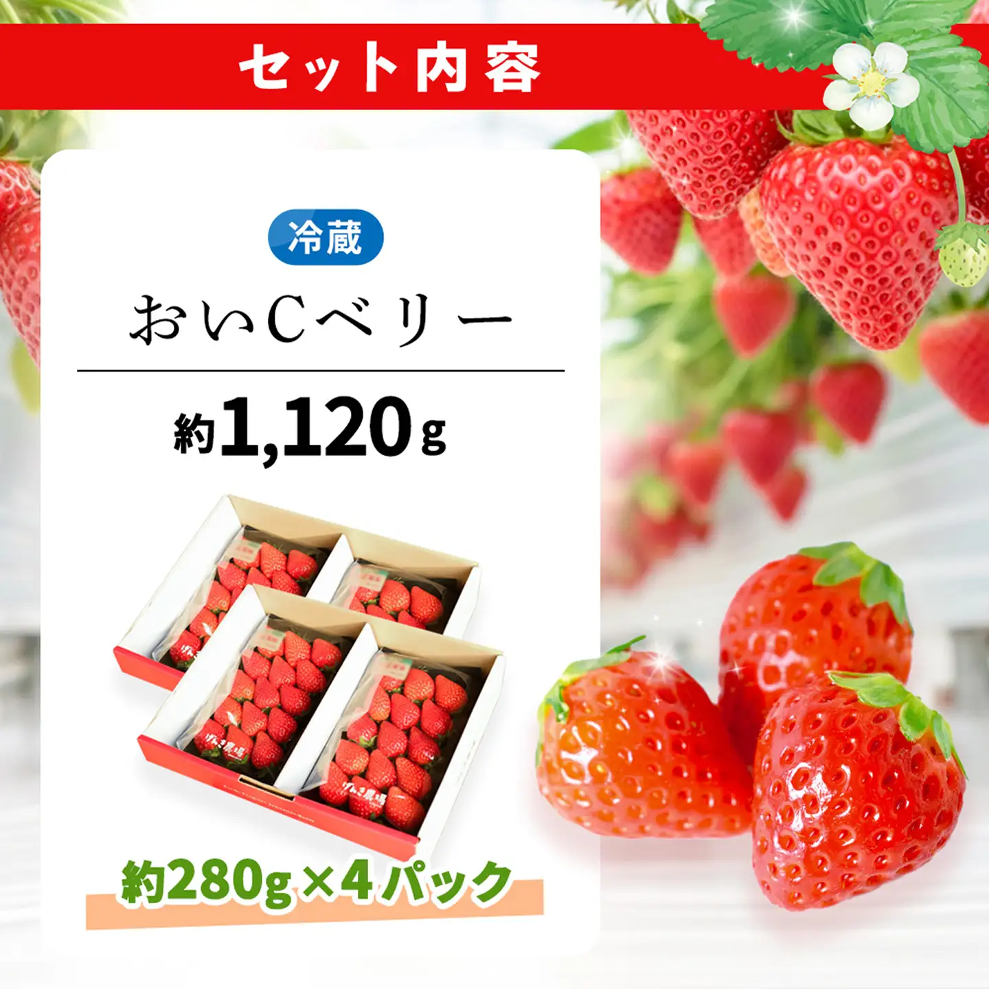 【2027年4月発送】【先行予約】【農場直送！】おいCベリー(約280g×4P) K100114