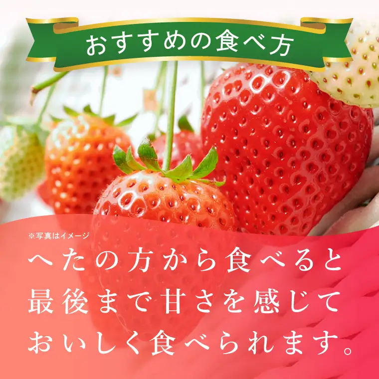 いちご やよいひめ イチゴ 苺 1箱 4パック JAなめがたしおさい直送 大粒 酸味 甘さ 減農薬 果物 フルーツ 冬 旬 【茨城県共通返礼品/行方市産】【先行予約｜2026年1月上旬より順次発送】(96-10)