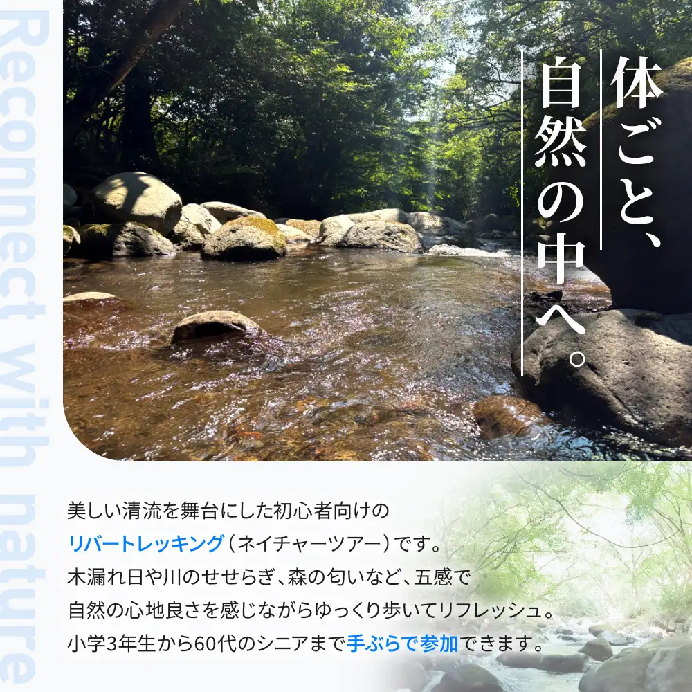 リバートレッキング「沢散歩」半日ツアー体験 | 湯河原町 初心者歓迎 自然体験 アウトドア 山歩き