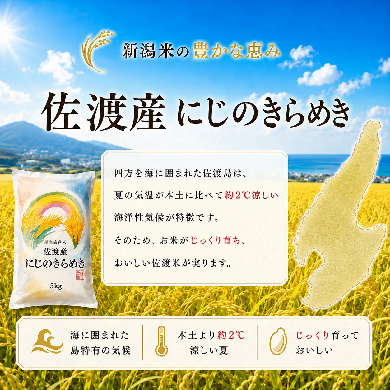 【令和8年産】佐渡産にじのきらめき 精米5kg 栽培期間中 農薬・化学肥料不使用 矢田農園