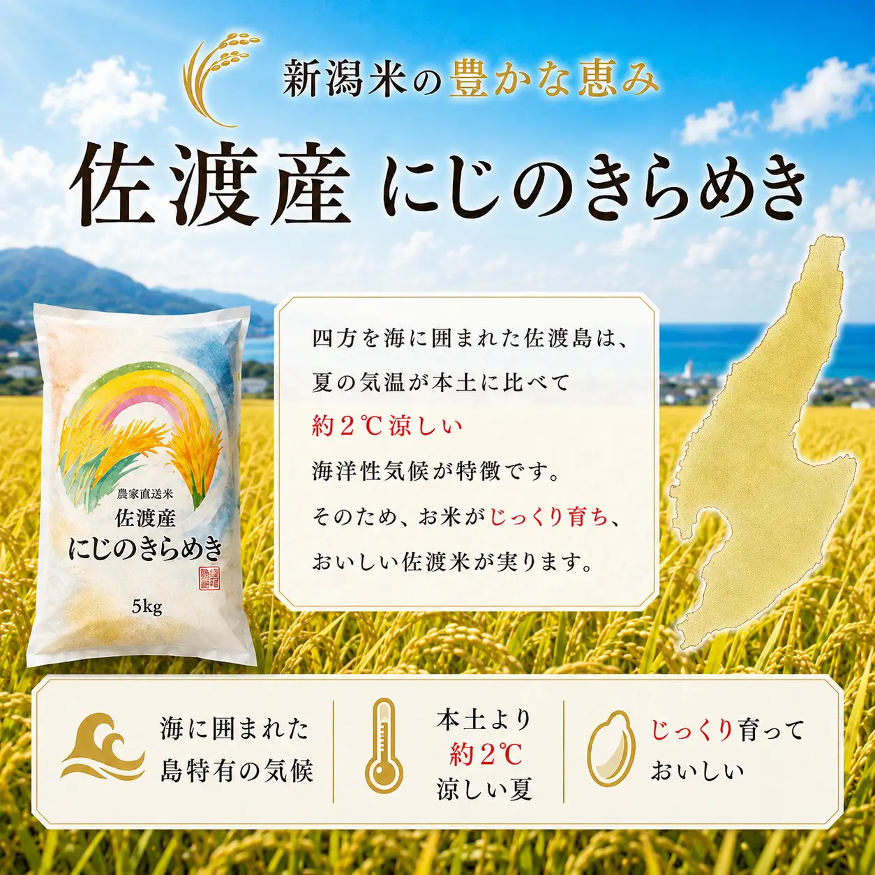 【3か月定期便 令和8年産】佐渡産にじのきらめき 精米(5kg×3回) 栽培期間中 農薬・化学肥料不使用 矢田農園
