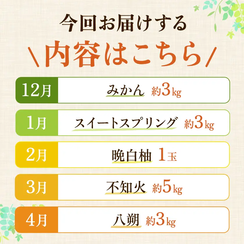 柑橘 柑橘定期便  森田果樹園 