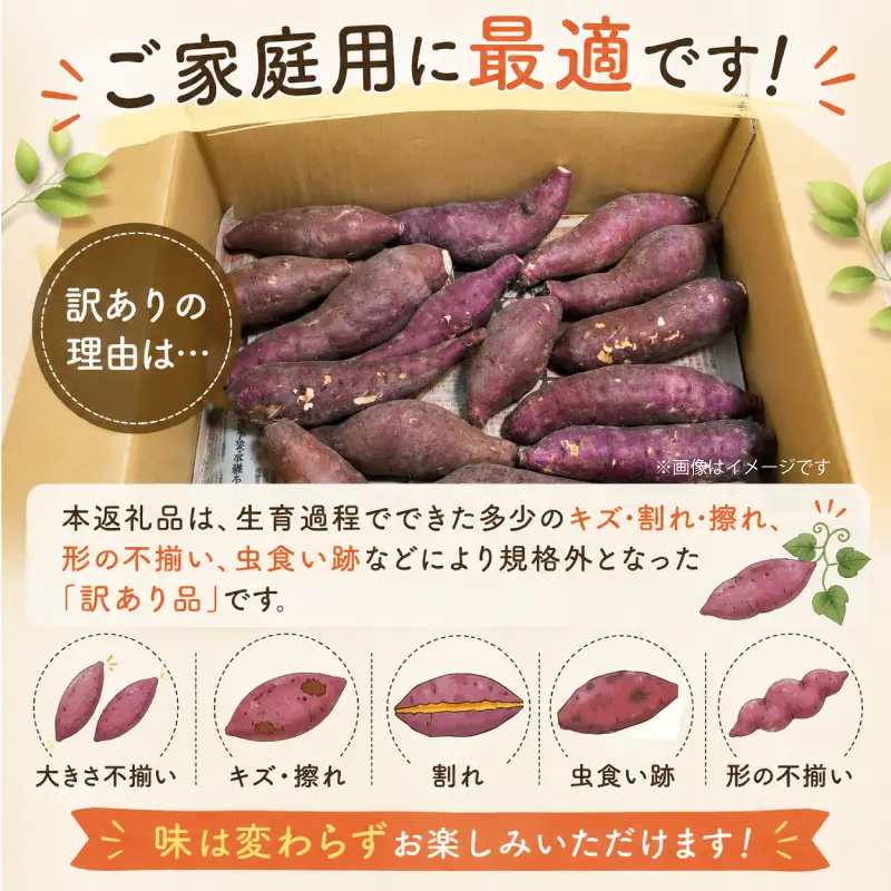 訳あり さつまいも 紅はるか 約7kg 【さつまいも】