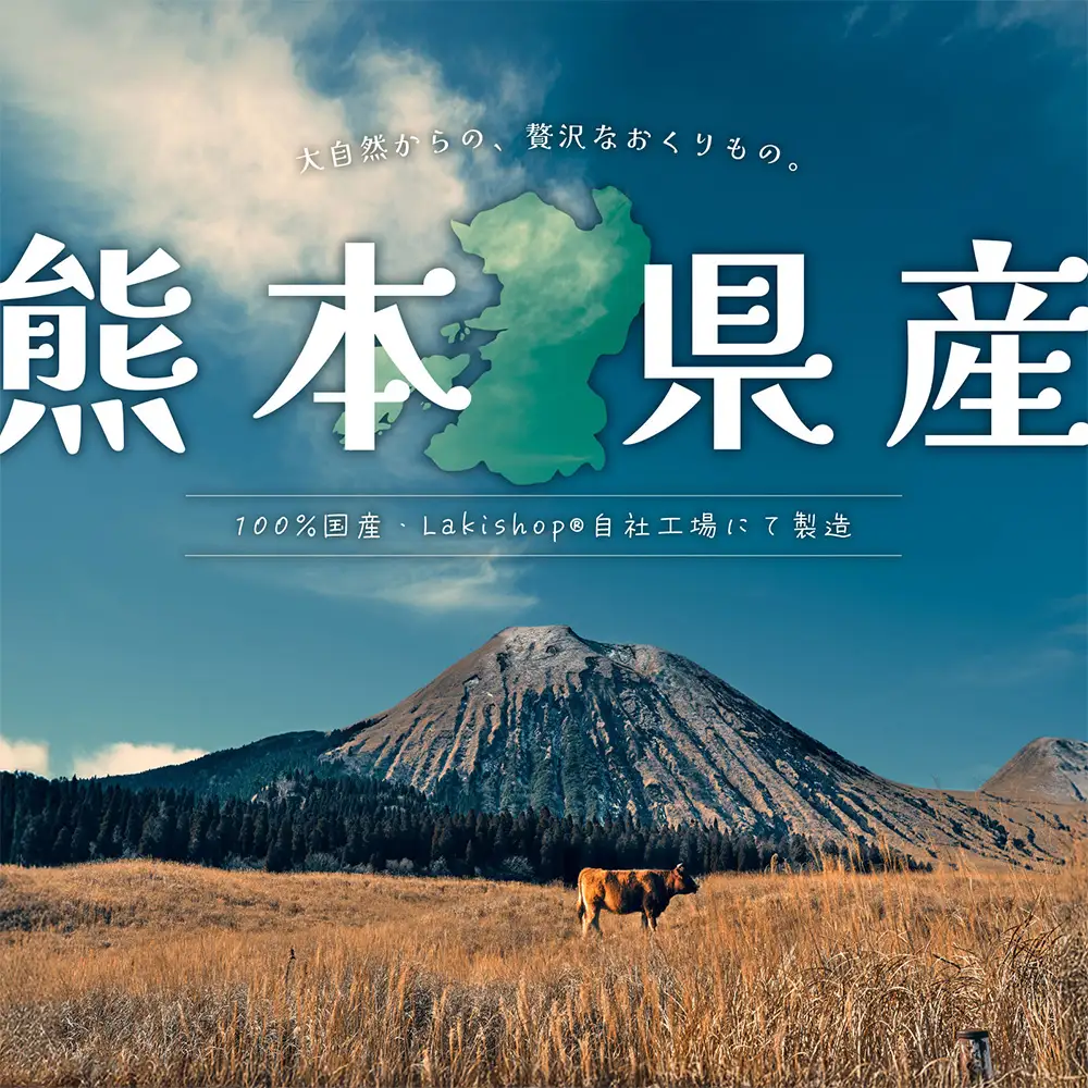 ＜ R8年熊本地震復興支援 ＞保存料・着色料・香料不使用 ペットおやつ詰め合わせ 【 中型 ／ 大型犬用 】 ペット 愛犬 ワンちゃん 犬 シニア犬 動物 おやつ ごはん ご褒美 低カロリー 栄養豊富 デンタルケア 牛肺 豚肺 豚耳 セット 食べ比べ
