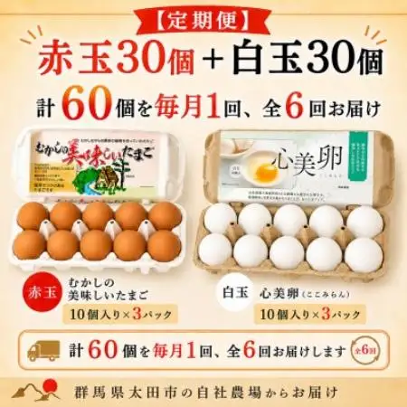 【毎月定期便】むかしの美味しい卵・心美卵 紅白食べ比べセット 60個(各30個)全6回【配送不可地域：離島】【4091603】