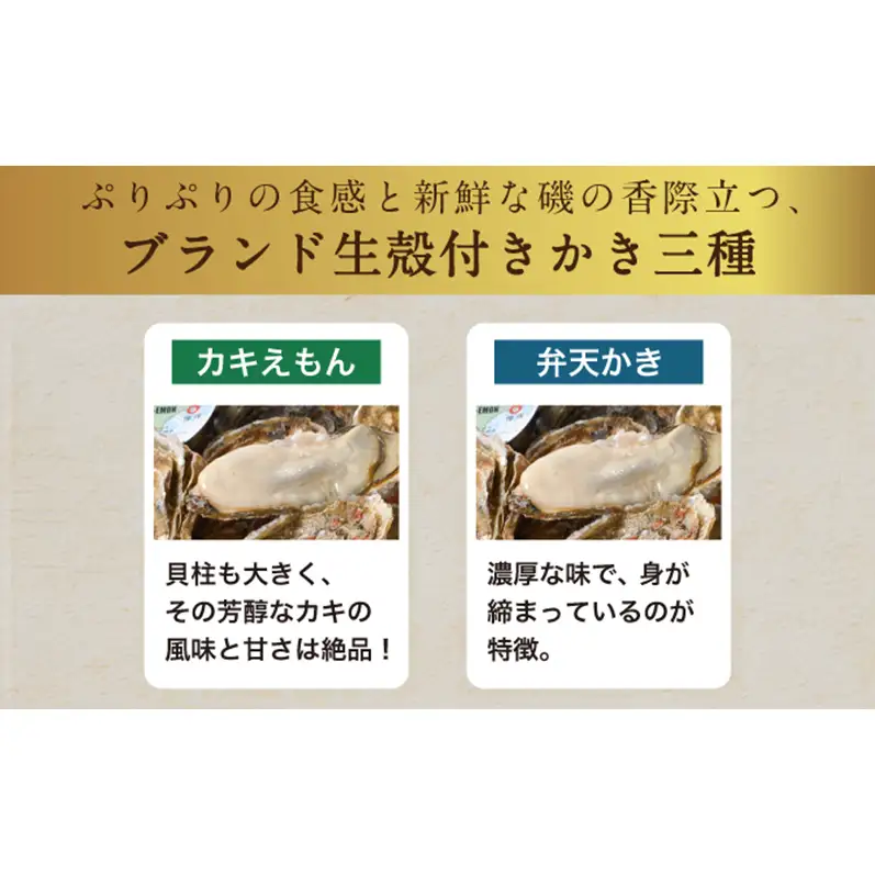 【2月～3月発送】北海道 厚岸産 ブランド牡殻かき 二種 食べ比べ (弁天かき＆カキえもん)　8個 牡蠣 魚貝類 生牡蠣 殻付き牡蠣 カキ