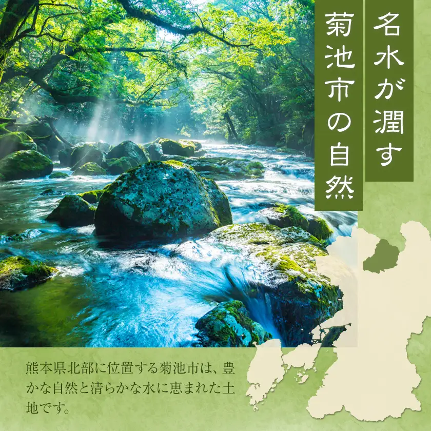 上野さんちのお米 10kg THANTEAMS《11月上旬-1月下旬頃出荷》