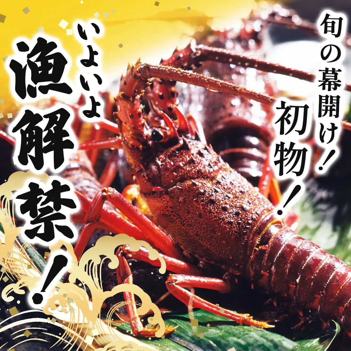 【先行予約】【期間限定】活き伊勢海老 1000gセット（2～5尾）生きた伊勢海老　初物　朝どれ　縁起物　エビ　