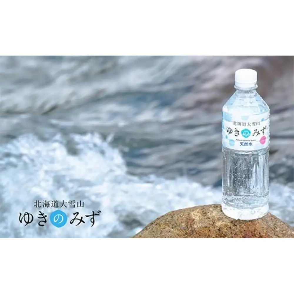 【全3回】【頒布会】北海道大雪山ゆきのみず（550ml×24本入り）1箱＜全3回コース＞|  みず
