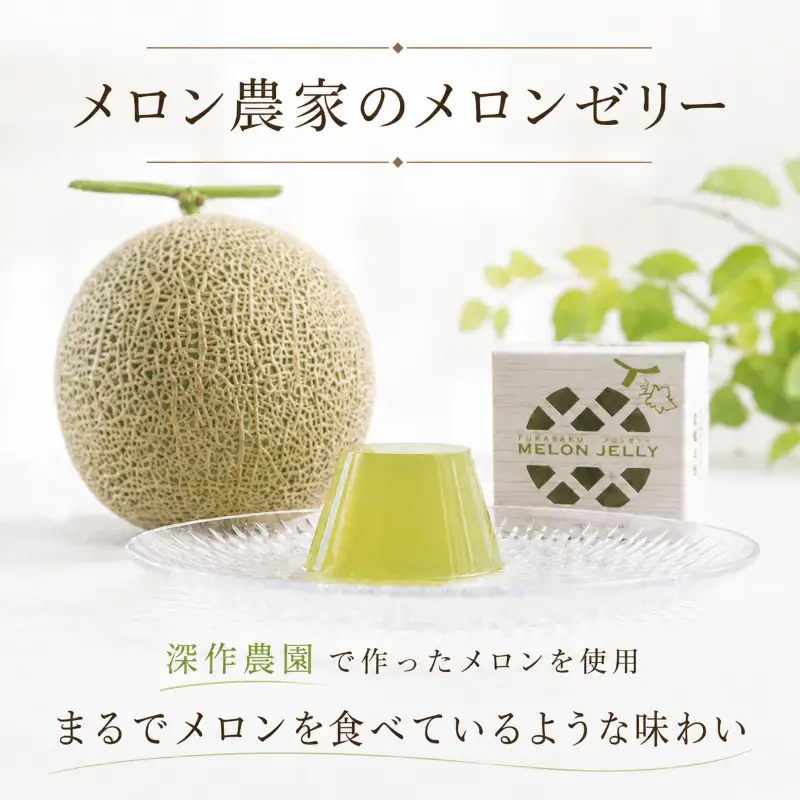 メロンゼリー 9個入り（1個 100g）メロン ゼリー めろん スイーツ お菓子 果汁 フルーツ 果物 フルーツゼリー 贈答用 プレゼント 果実 茨城県 鉾田市 深作農園