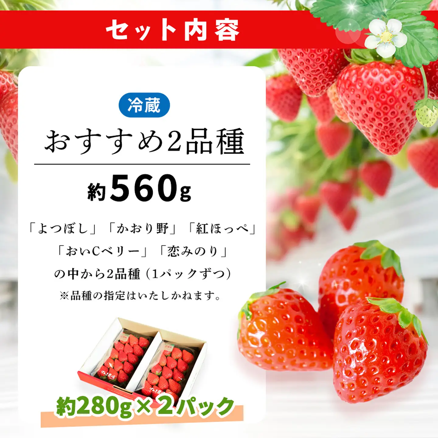 【2027年4月発送】【先行予約】【農場直送！】いちご2品種食べ比べ(約280g×2P) K100111