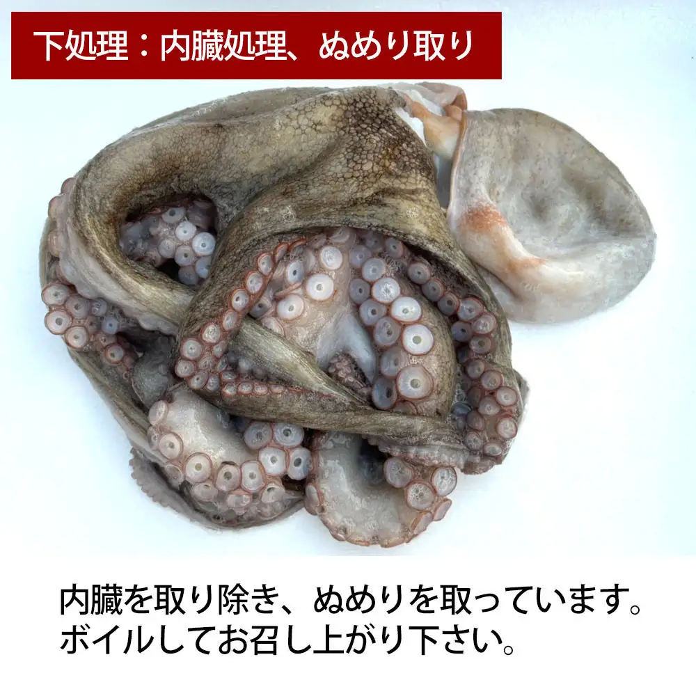 【お歳暮】活き締め真たこ1ぱい約1kg　レシピ付き 蛸 生 刺身