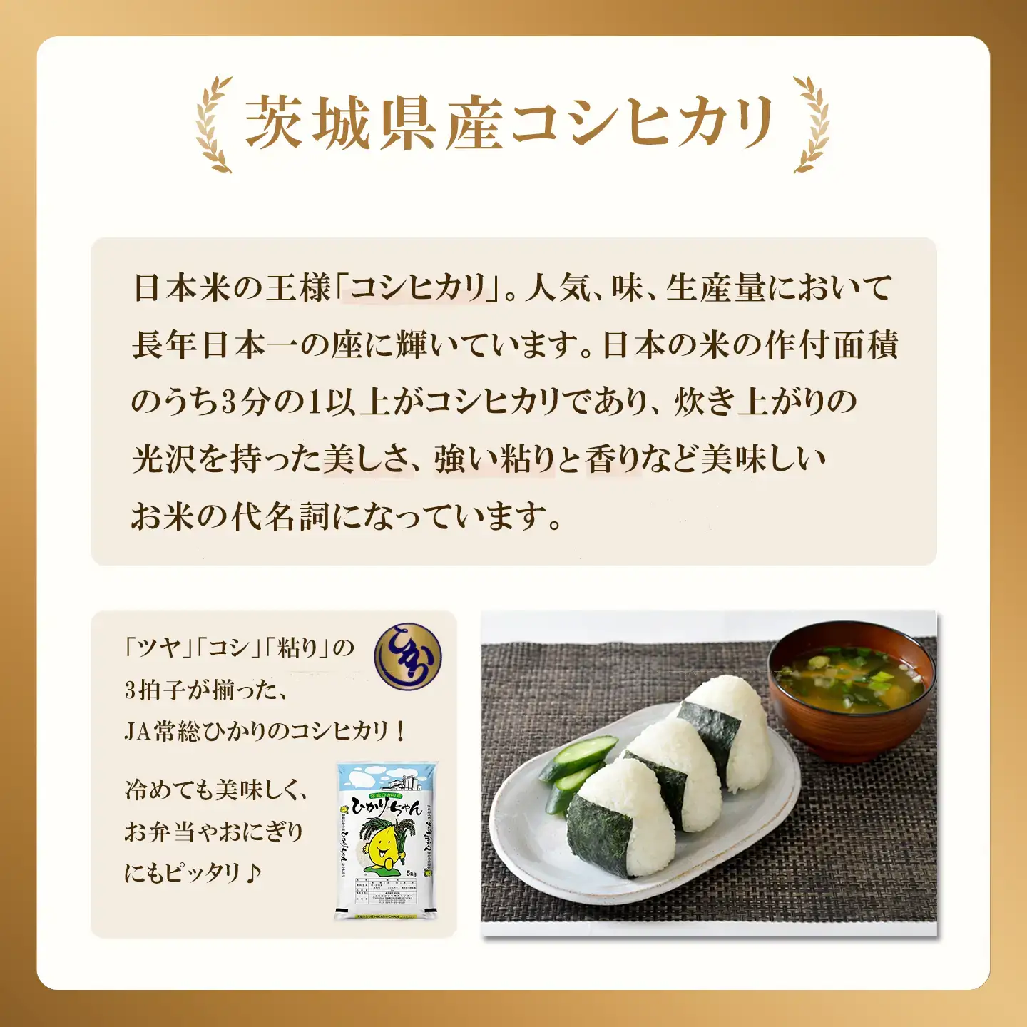 米 精米 R7年産 コシヒカリ 10kg 1月