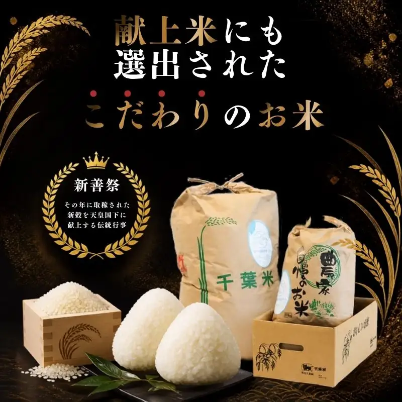 千葉県一宮町産コシヒカリ（白米１０kg）食べくらべチャレンジセット　令和８年産米　2026年発送分　５kg×２袋 　一等米　白米　精米　先行予約