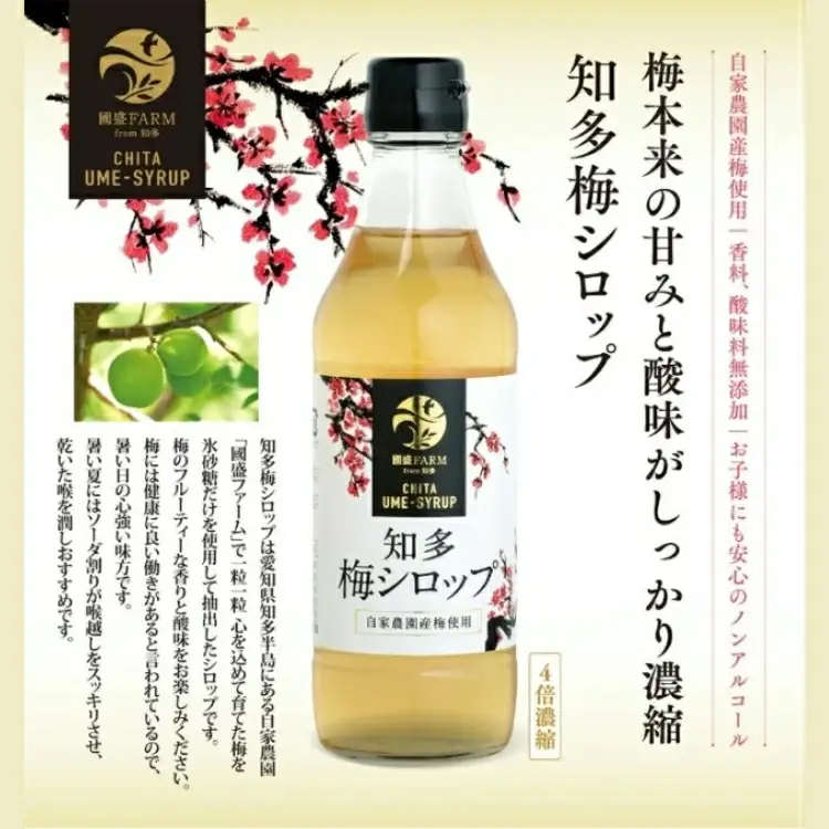 【定期便3回】梅シロップ420g×3本