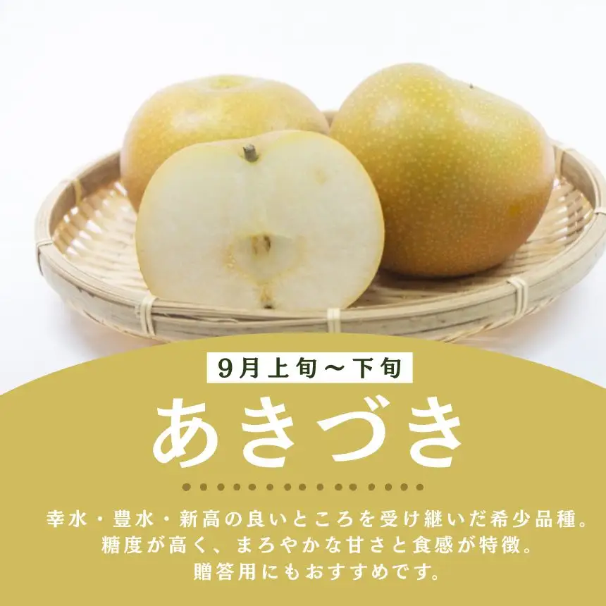 【2026年先行予約】 訳あり! サイズランダム あきづき 約5kg 梨