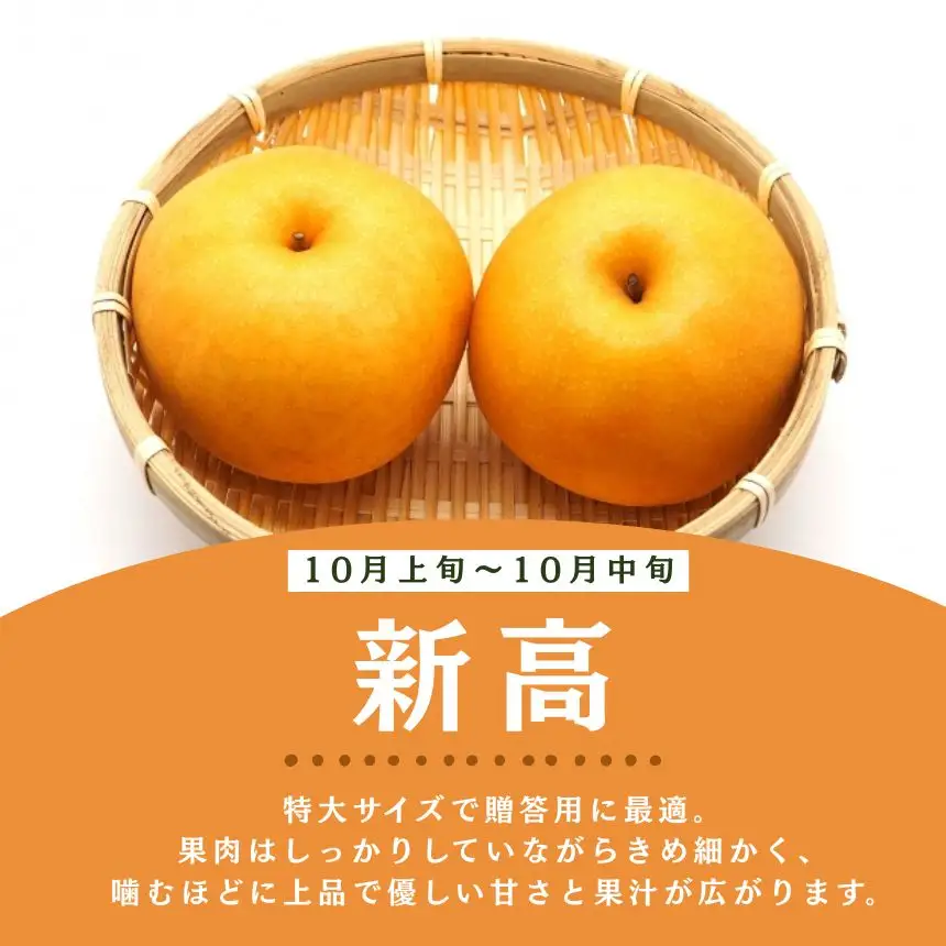【2026年先行予約】 訳あり! サイズランダム 新高 約5kg 梨