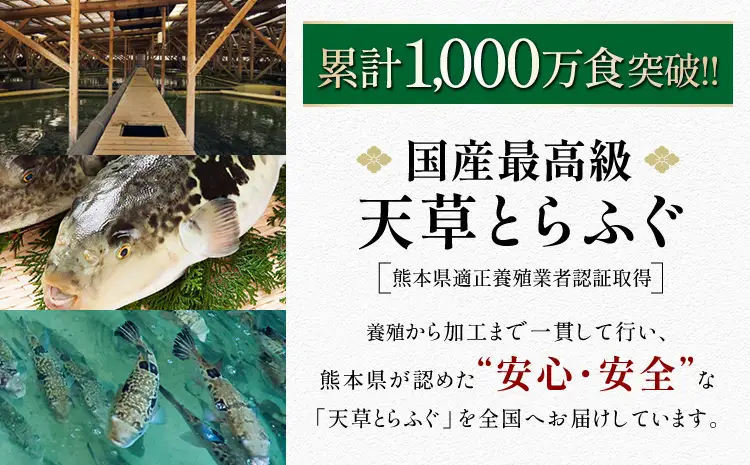 令和8年熊本地震復興支援 【2回定期便】極 季節めぐり定期便④ 海鮮 とらふぐ うなぎ 天草海産 〈熊本地震復興応援〉
