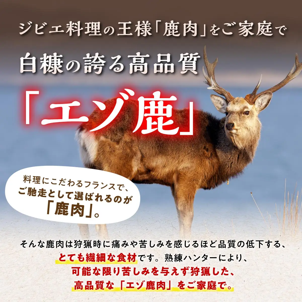 鹿肉セット 3種類 計5パック_I011-0515-60DAYS