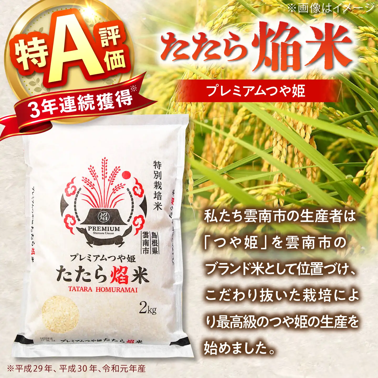 新米 【12回定期便】 プレミアムつや姫 2kg 新米 [AIBR022-r8]