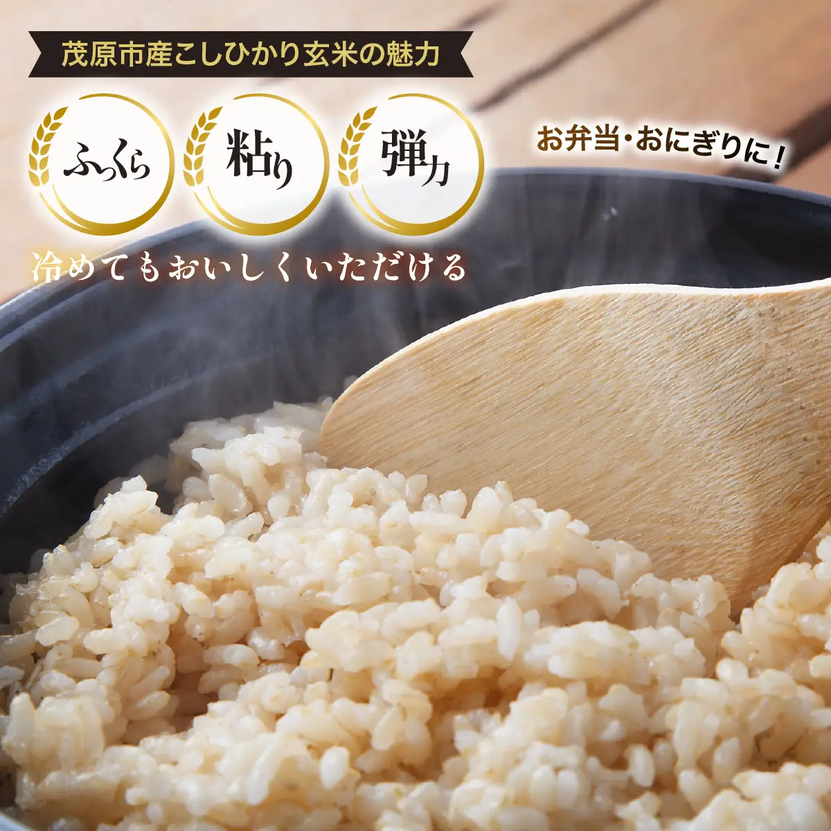 【令和8年産】　茂原市産こしひかり玄米10ｋｇ MBAO008