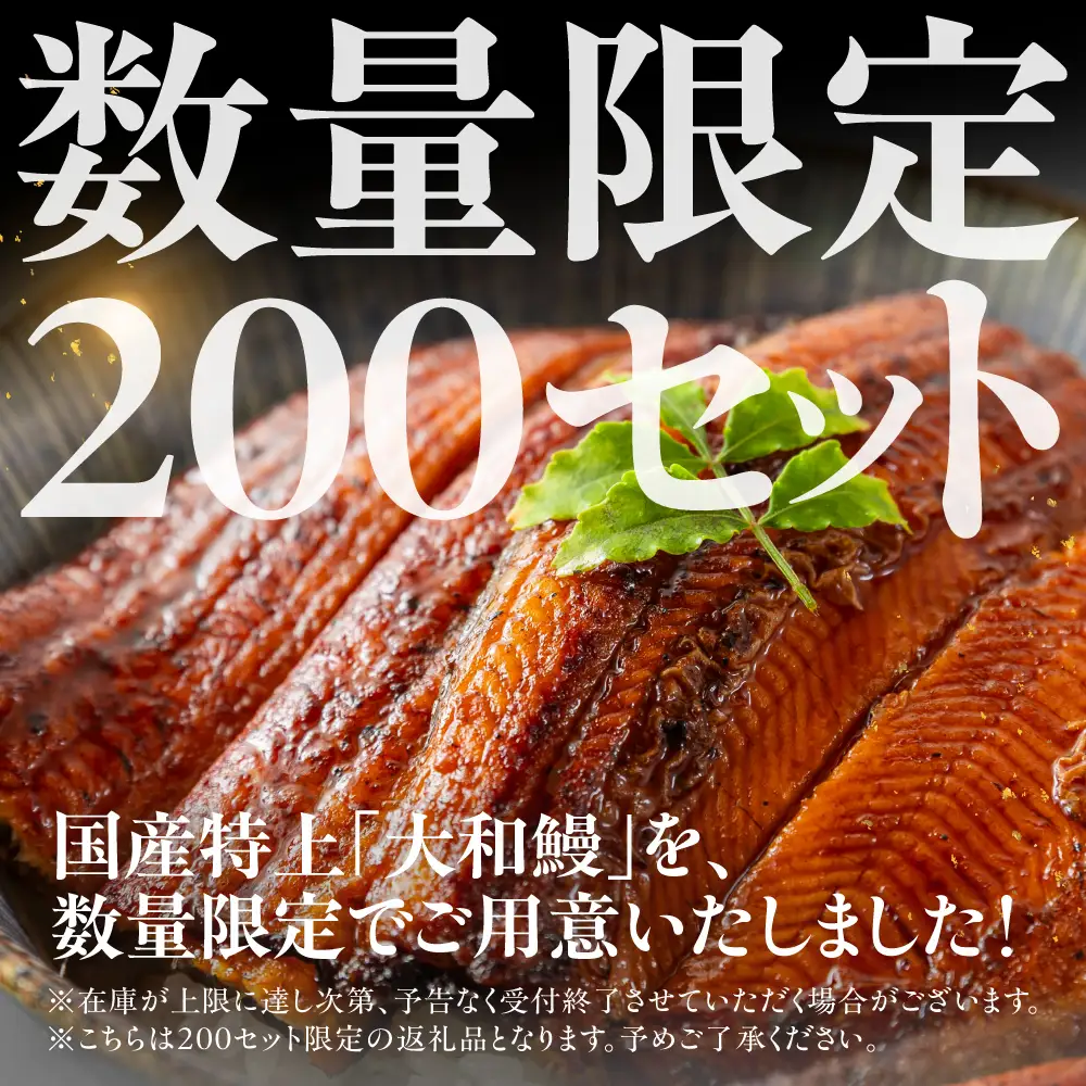 国産特上 大和鰻 4尾（約624g~732g） 国産鰻 選べる 鰻 うなぎ unagi ウナギ 蒲焼 長蒲焼 国産うなぎ 鰻蒲焼 上 特上 贈答 ギフト 豊橋うなぎ 土用の丑の日 カネナカ 冷凍 限定 うな重 うな丼 ひつまぶし 愛知県 豊橋市
