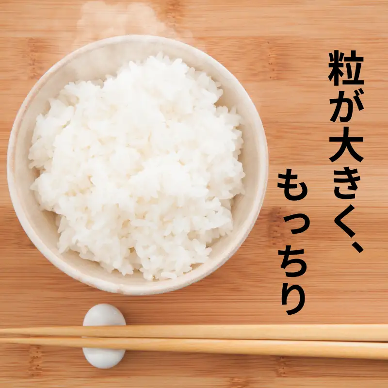 【先行予約】【新米】令和8年佐賀県産さがびより５kg：B115-039