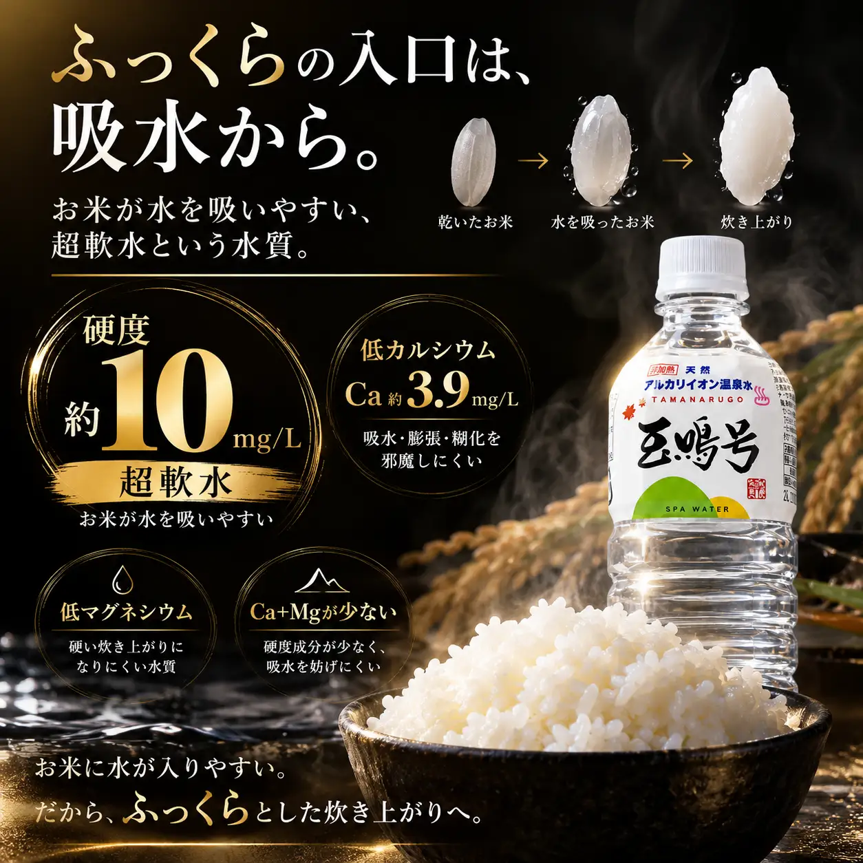 玉鳴号【定期便3回】｜宮城県鳴子温泉の天然アルカリイオン水 500ml×24本 | bi-tng-500-24-t3