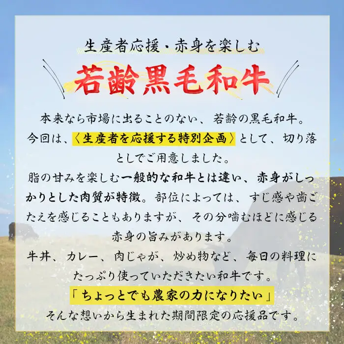 【緊急支援品】【訳あり】黒毛和牛万能切り落とし肉 計500g(500g×1P) 鹿児島県産 黒毛和牛 和牛 切り落とし 肉 牛肉 国産 九州産 赤身 薄切りすき焼き しゃぶしゃぶ カレー 小分け 煮込み 訳あり 訳アリ 切落し p95-001