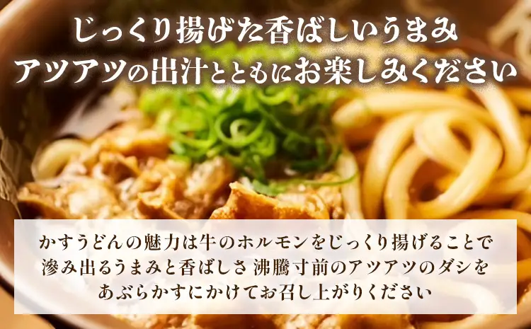 龍の巣 かすうどん 5人前セット