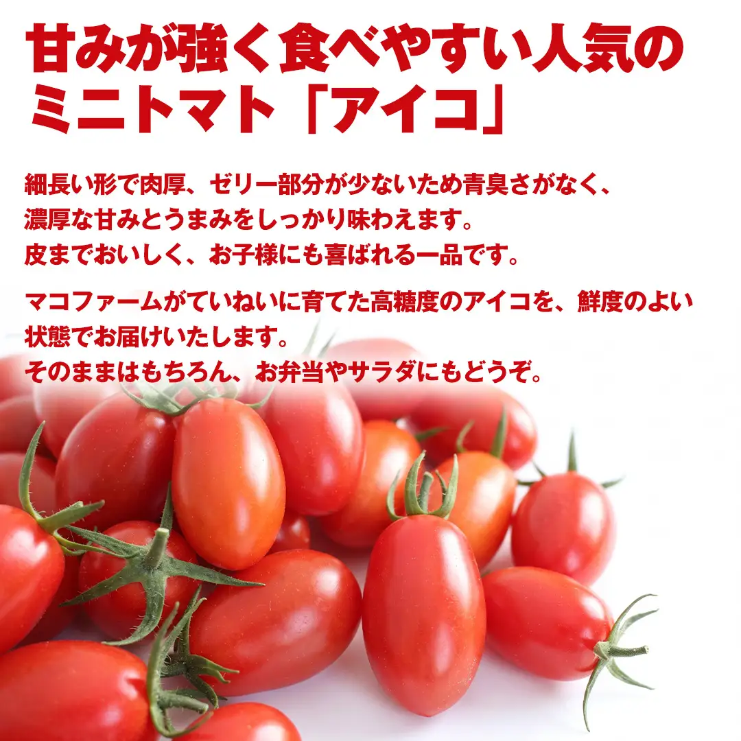 高糖度 ミニトマト アイコ 約1050g (150g×7パック)  ( 茨城県共通返礼品：大子町 )[FC208us]
