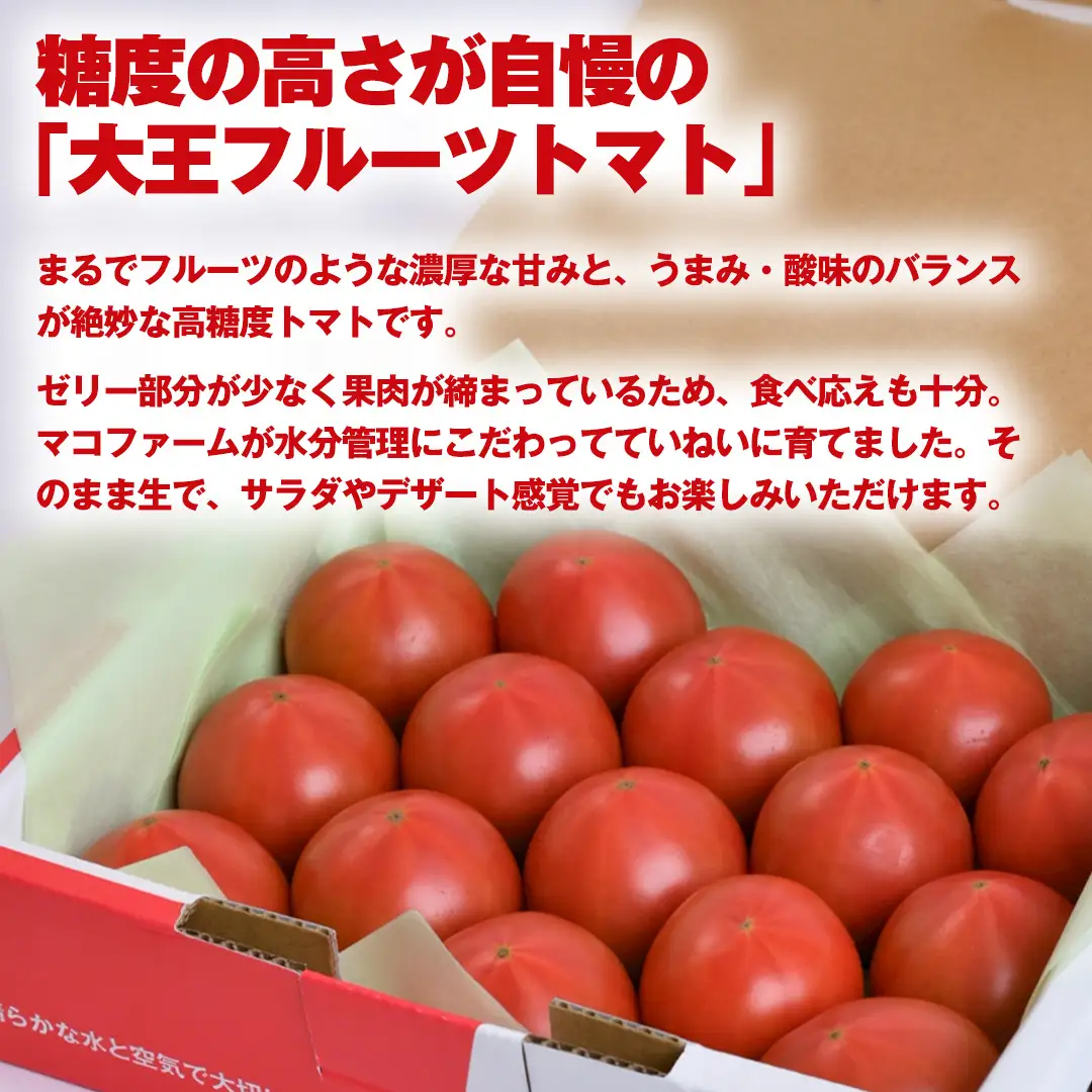 大王 フルーツトマト 約900g ( 茨城県共通返礼品：大子町 ) [FC207us]
