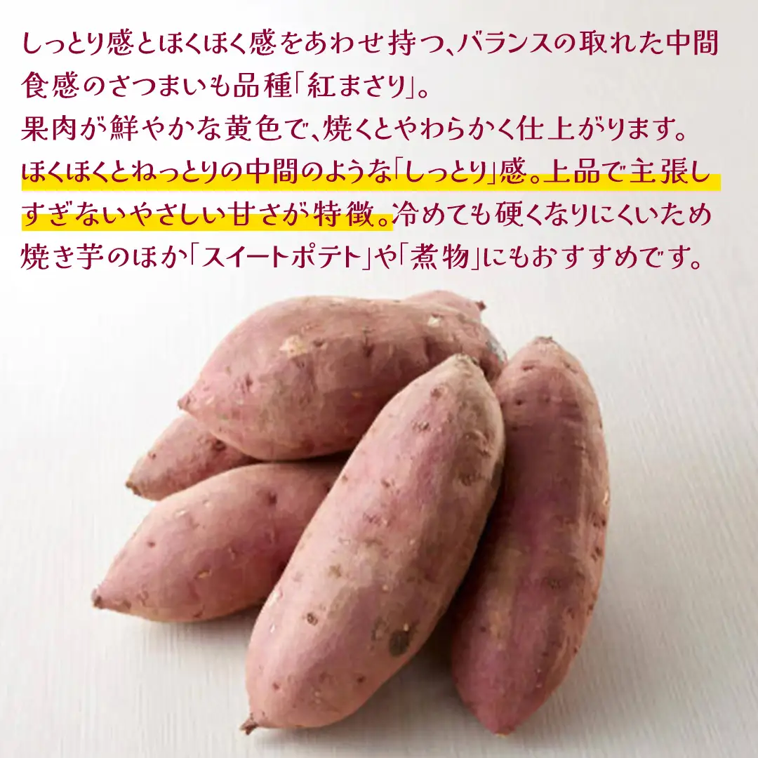 紅まさり 5kg 【 2026年12月上旬発送開始 】 ( 茨城県共通返礼品：大子町 ) [FC203us] さつまいも 