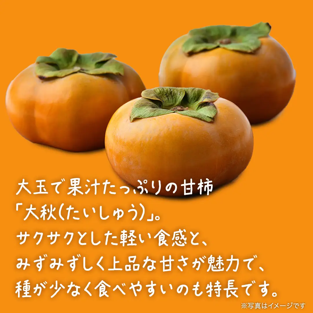 大秋柿 3kg 【 2026年10月上旬発送開始 】 ( 茨城県共通返礼品：大子町 ) [FC200us]