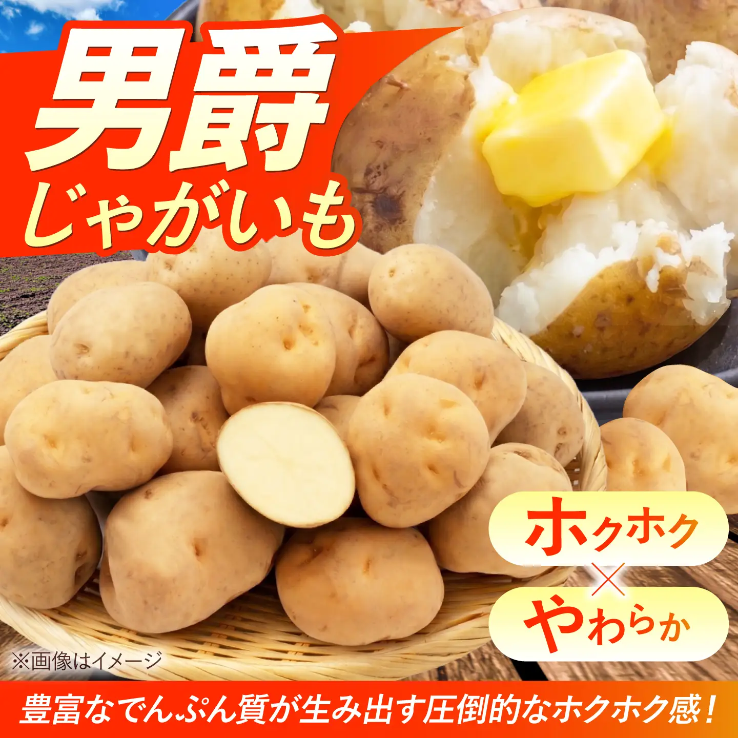 じゃがいも 男爵芋 10kg BPAT002 じゃがいも