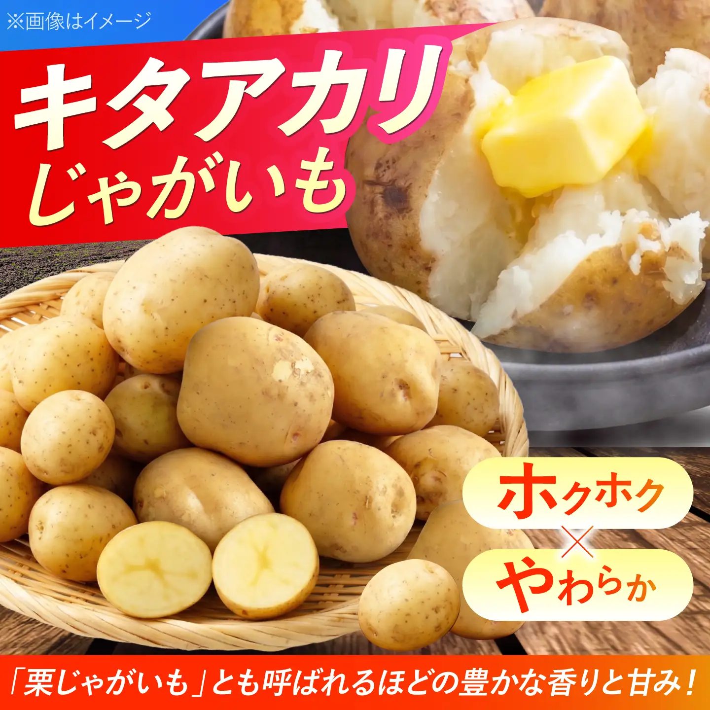 じゃがいも キタアカリ 5kg BPAT004 じゃがいも