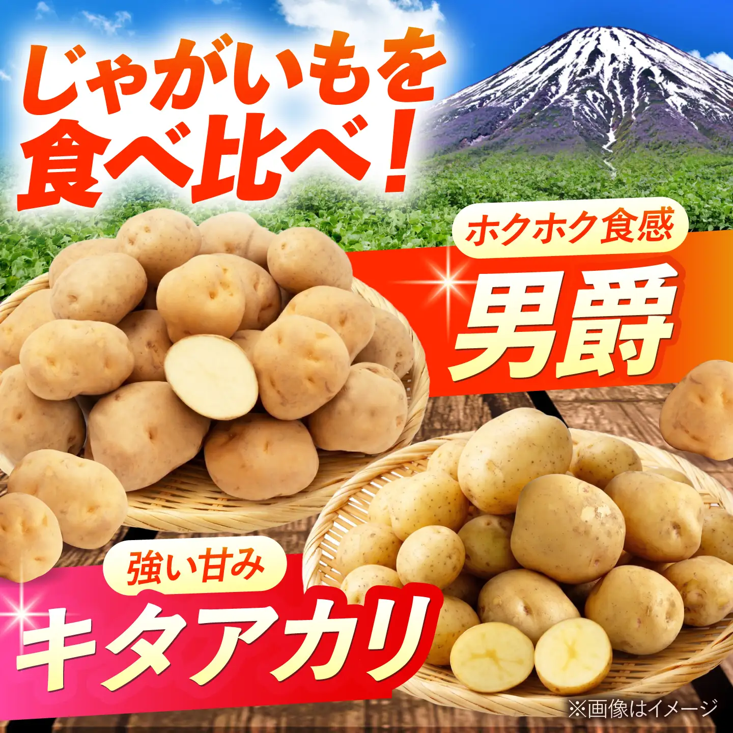 じゃがいも 食べ比べセット（男爵・キタアカリ）計10kg BPAT010 じゃがいも 食べ比べ