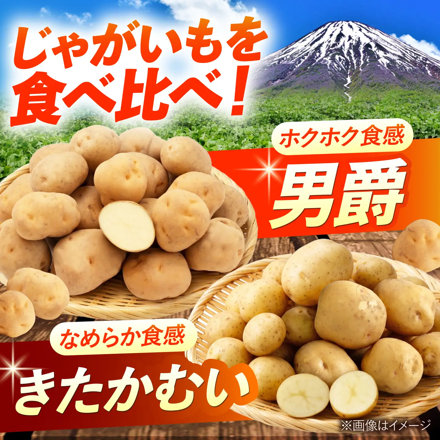 【先行予約】 じゃがいも 食べ比べセット（男爵・きたかむい）計20kg BPAT013 じゃがいも 食べ比べ