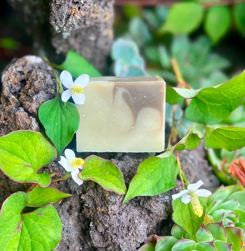 植物の恵みを閉じ込めたオーガニックソープ 4個セット【種類おまかせ】