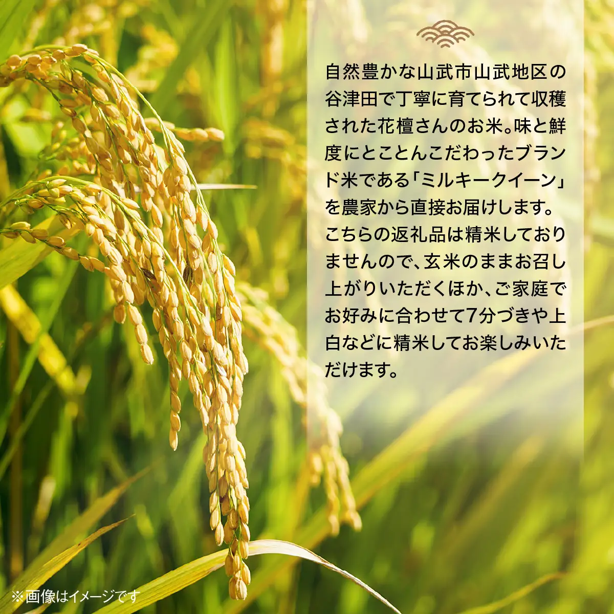 【先行予約・2027年9月上旬～配送】農家直送! 花檀さんちのこだわり米 ＜令和9年産＞ミルキークイーン玄米30kg SMDG001