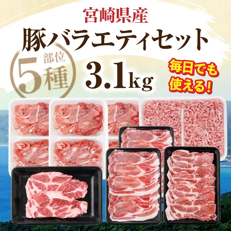 《2026年11月発送》宮崎県産豚バラエティー3.1kgセット_K033-054-11