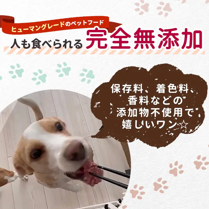 《周年祭！》国産鹿肉１００%使用！無添加 安心・安全 犬用 鹿水煮 2缶 ペットフード 犬 猫 鹿 しか シカ 低カロリー 高タンパク質 -301