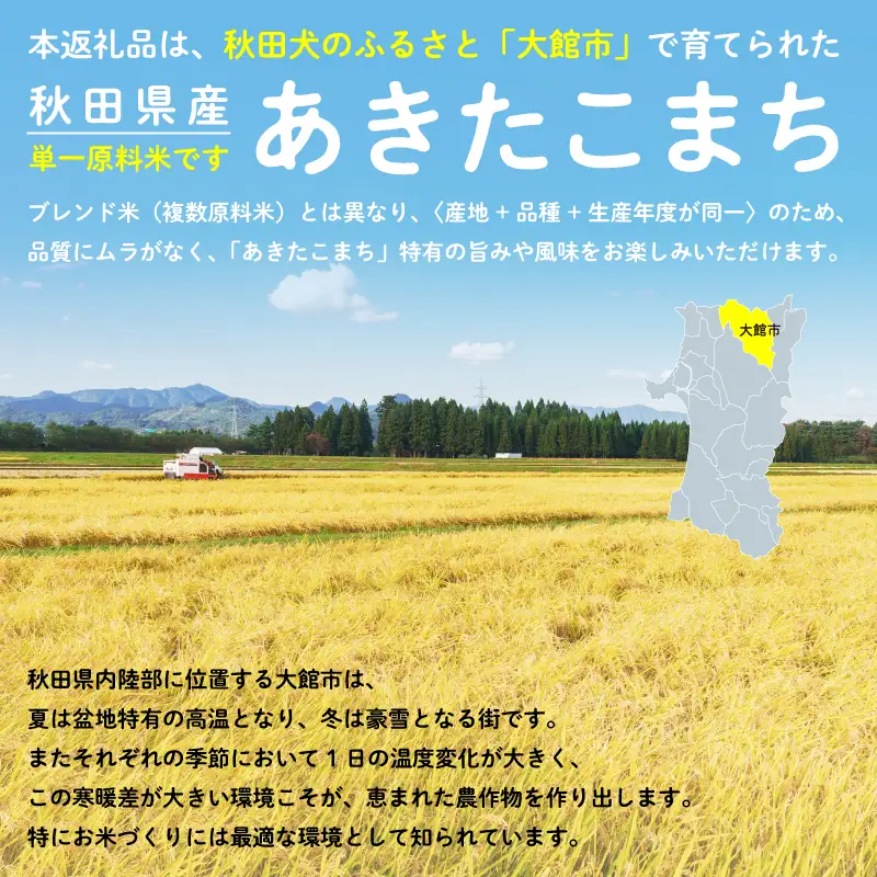《令和8年産》【12ヶ月10kg定期便】白米 あきたこまち 精米 ブランド米 定期便【ふるさと納税3.0】【真正ファーム】