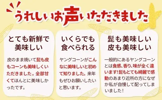 【予約受付 R9年 6月下旬発送開始予定】髙橋さんの ヤングコーン 50本  2027年度 国産 野菜 岩手県 北上市 夏 旬 季節限定 やさい ベビーコーン C0233 予約 岩手 とうもろこしト食材 夏野菜