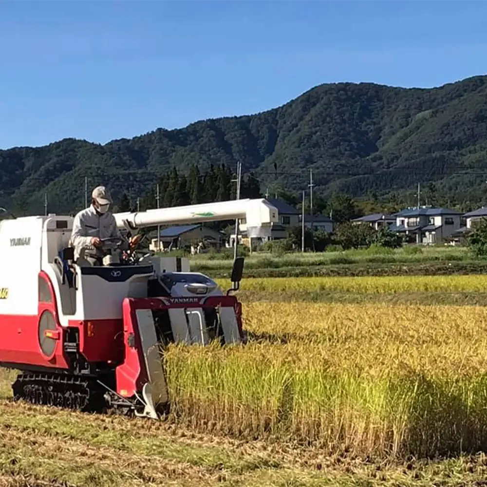 【令和8年産先行予約！】特別栽培米コシヒカリ　玄米　10kg(5kg×2袋)　[米・食味分析鑑定コンクール国際大会 特別優秀賞受賞]　【07208-0992】