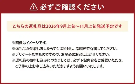 ばってん柿 （ 約3.5kg ） 柿 かき カキ 果物 くだもの フルーツ 果実 果汁 果肉 旬の味覚 旬の果物 国産 熊本県産 【 2026年9月上旬から11月上旬発送予定 】
