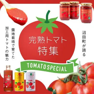 契約農家が露地栽培した完熟トマトケチャップ（320g瓶×2本）保存料 無添加 国産 北海道産 n-0220