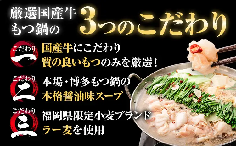 国産牛 もつ鍋 6人前 ★もつおかわり★