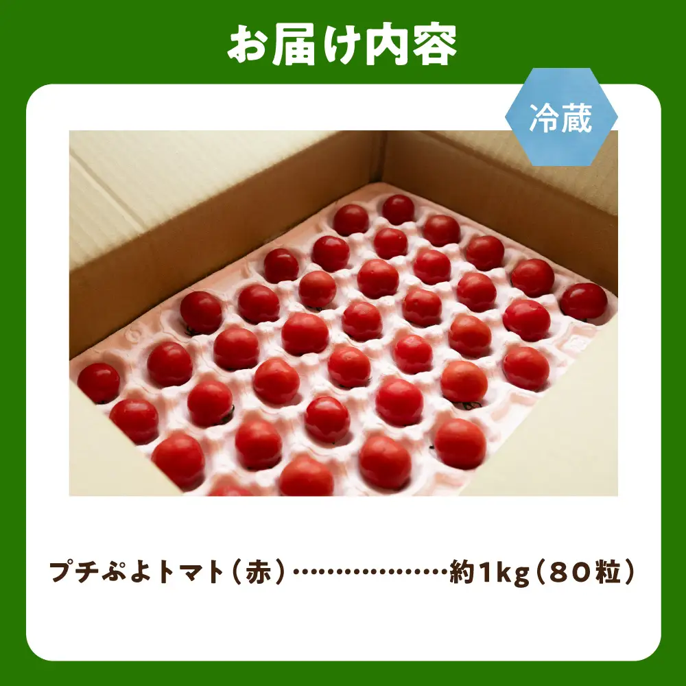 【2027年発送・先行受付】採れたて！知床斜里町産　プチぷよトマト(赤)　約1kgセット(80粒) | トマト ミニトマト プチトマト 野菜 北海道 斜里町