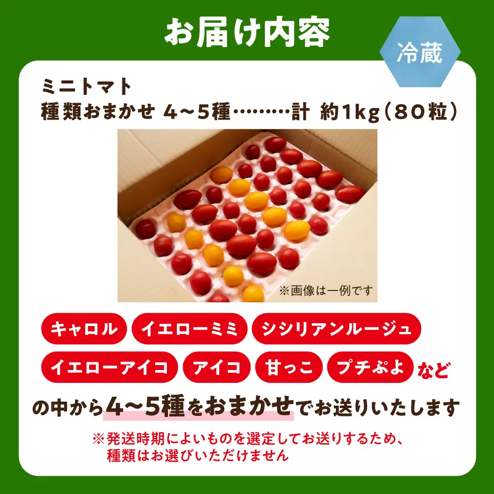 【2027年発送・先行受付】知床の斜里町産　採れたてミニトマト4～5種セット　約1kg(80粒) | トマト ミニトマト プチトマト 野菜 北海道 斜里町